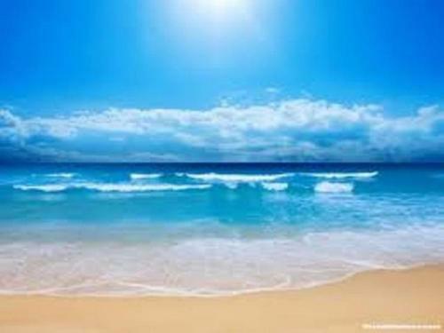 Apartment In Chernomorsk On The Beach