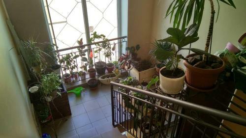 Apartment Parusnaya 1e