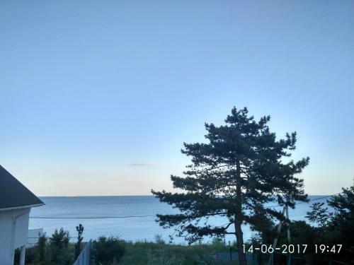 Posada Inn Chernomorskii