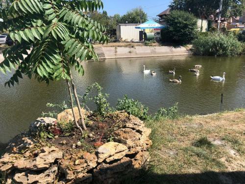 Hotel Alkatraz