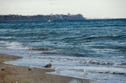 Agroturismo Dacha U Morya Bugaz