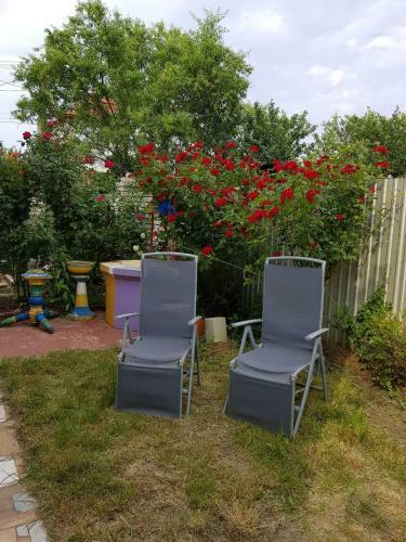 Black Sea Gribovka Bugaz Big House