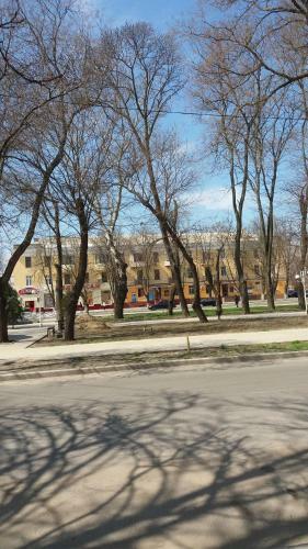 Apartment On Suvorov Avenue 67