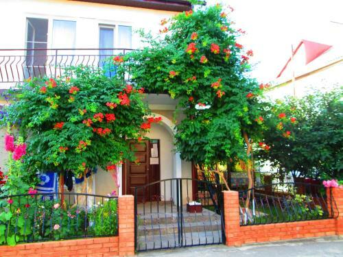 Hostal Cottage U Evgenii