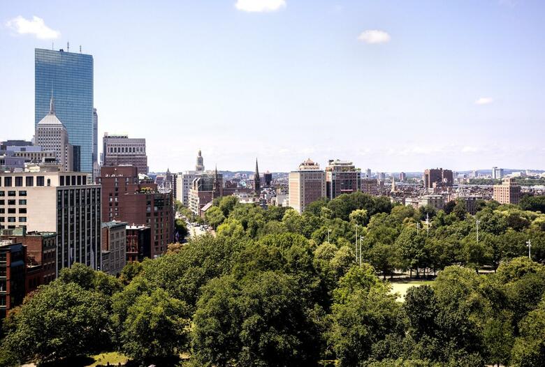 Hotel The Ritz-carlton, Boston Common