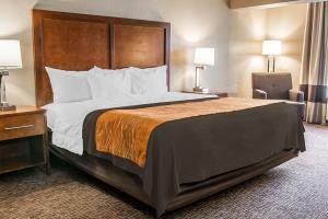 Hotel Comfort Inn Battle Creek