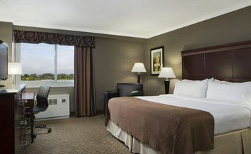 Hotel Holiday Inn Binghamton-dwtn (hawley St)