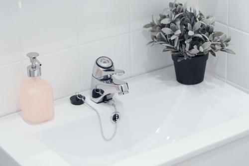 Scandinavian Studio Apartment