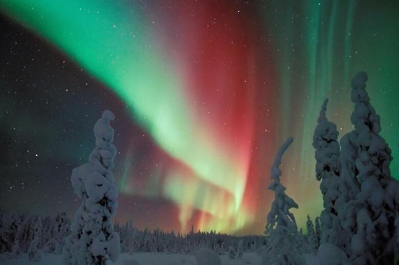 Apartamento Arctic Resort Delight