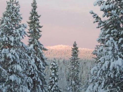 Holiday Home Villa Vuosselin Taiga