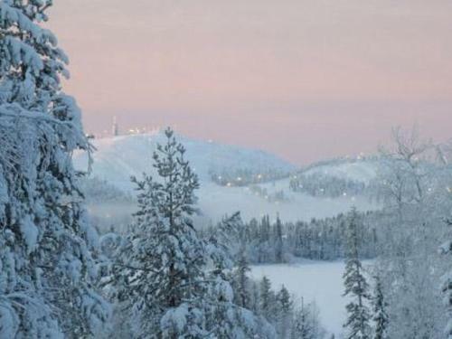 Holiday Home Villa Vuosselin Taiga