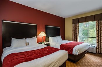 Hotel Comfort Suites