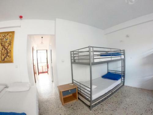Acropolis Hostel