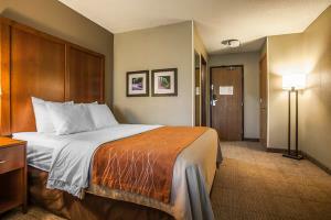Hotel Comfort Inn