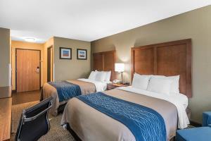 Hotel Comfort Inn & Suites