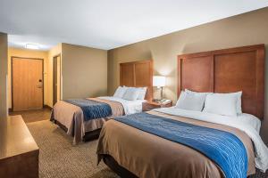 Hotel Comfort Inn & Suites