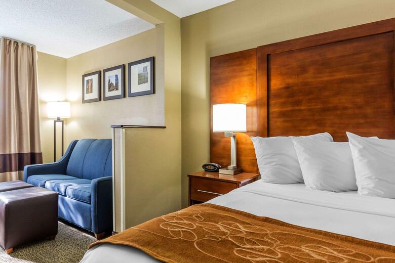 Hotel Comfort Suites Lansing