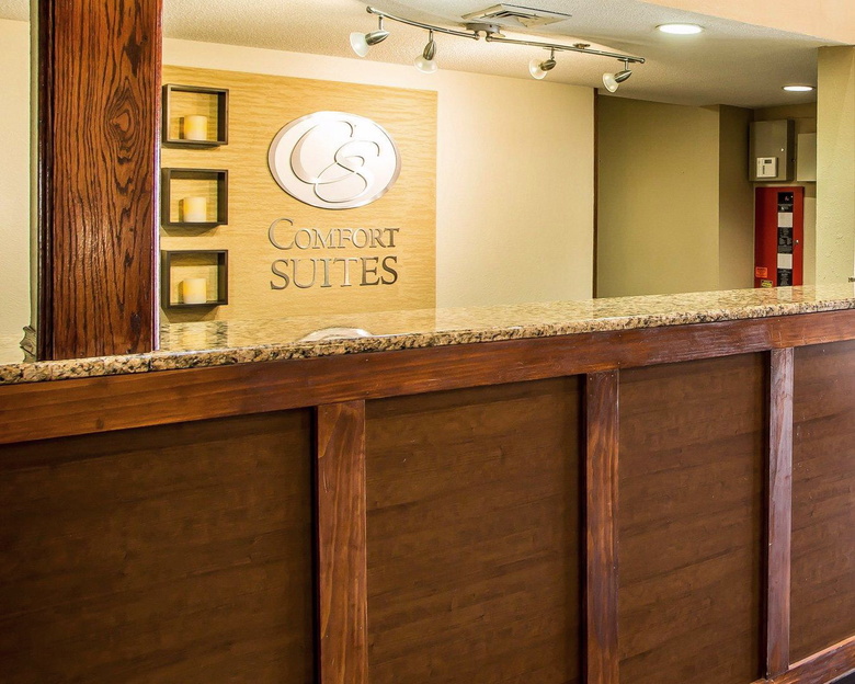 Hotel Comfort Suites Lansing