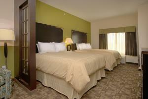 Hotel Comfort Suites