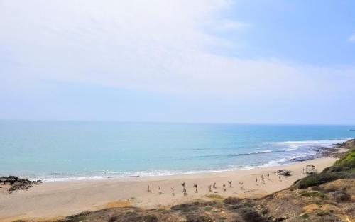 Ocean Club Apartment 401