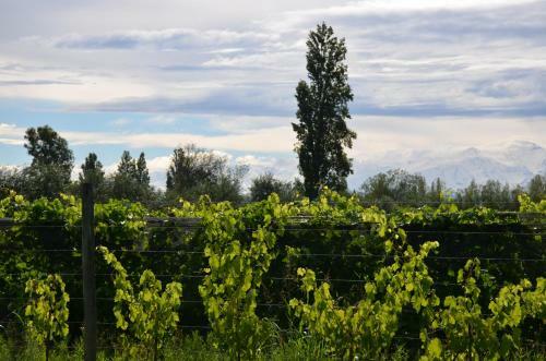 Apartamento Finca Fisterra