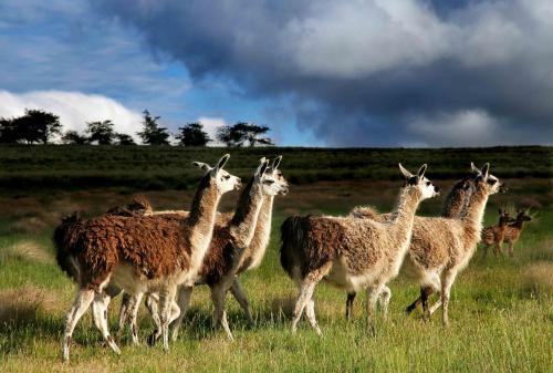 Agroturismo Estancia La Estrella