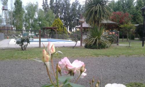 Posada R�o Tala