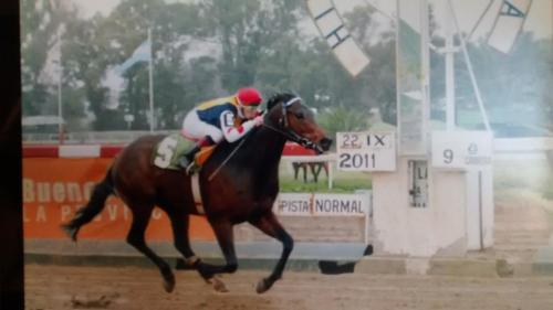 Bed And Breakfast En San Isidro Buenos Aires