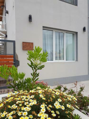 Apartamento Alem