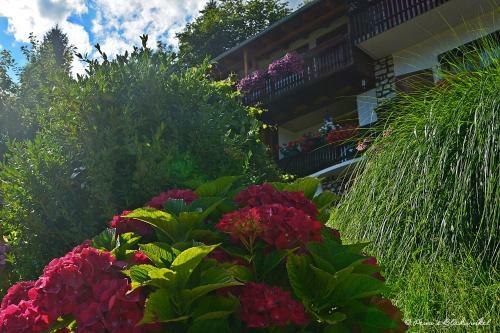Hostal Familie Lemberger