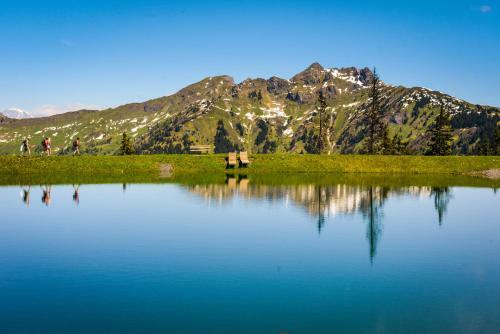 Apartamento Bergparadies Appart Stubnerkogel