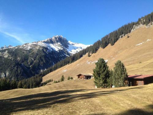Apartamento Appartements Schwarzer Adler