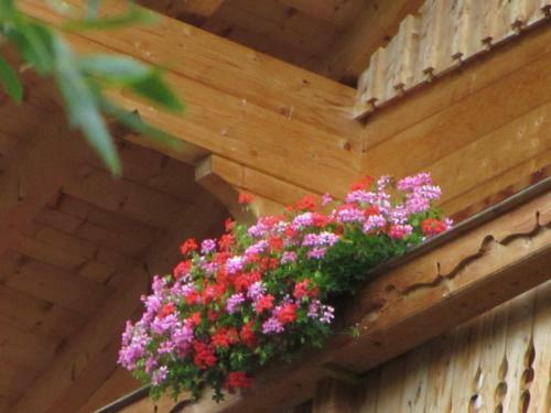 Apartamento Seppenbauerhof Appartement