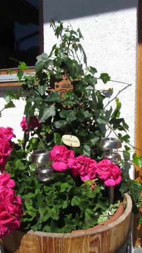 Apartamento Seppenbauerhof Appartement