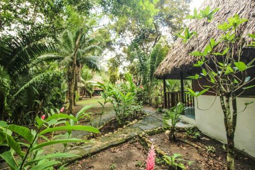 Hotel Cohune Palms River Cabanas