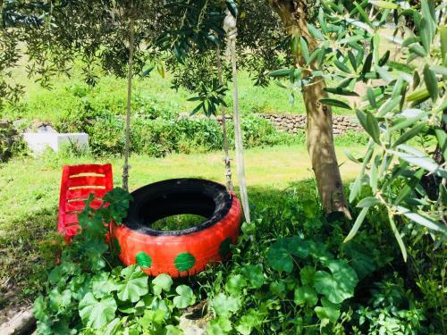 Agroturismo Rancho Cottage Cuernavaca