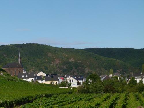Hostal Ferienweingut Rudorfer