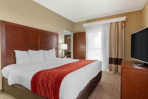 Hotel Comfort Inn & Suites Page