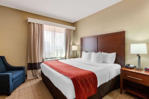 Hotel Comfort Inn & Suites Page