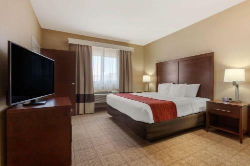 Hotel Comfort Inn & Suites Page