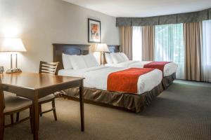Hotel Comfort Suites South Burlington