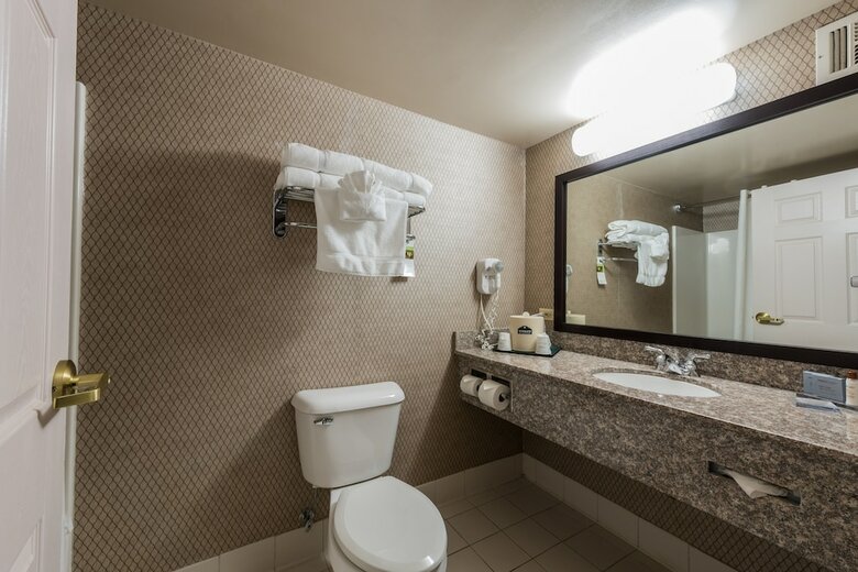 Hotel Wingate By Wyndham Schaumburg / Convention Center