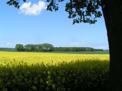 Bed & Breakfast G�stehaus Landgut Lischow