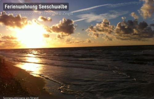 Apartamento Seeschwalbe App. 34 - [#71278]