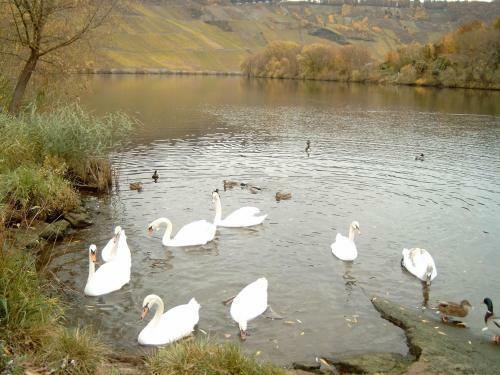 Casa Della Hella 1 Balduinseck