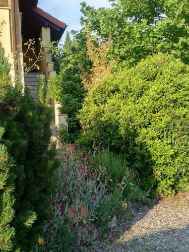 Apartamento Wohnen Im Orientalischen Ambiente