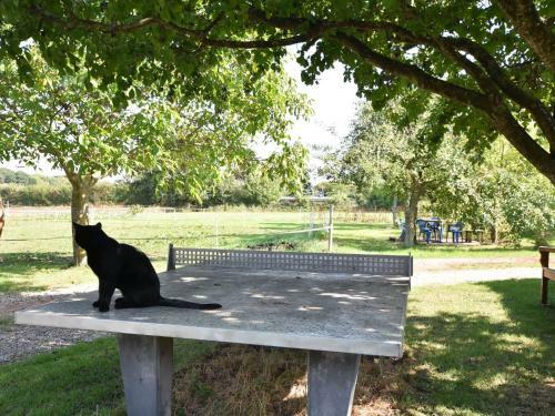 Charming Apartment In Pugholz Near Sea