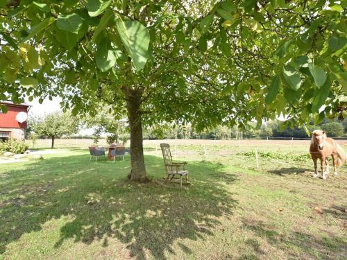 Charming Apartment In Pugholz Near Sea