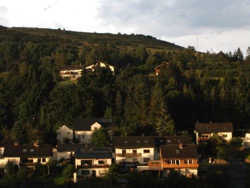 Cosy Apartment In Mullenborn With Terrace