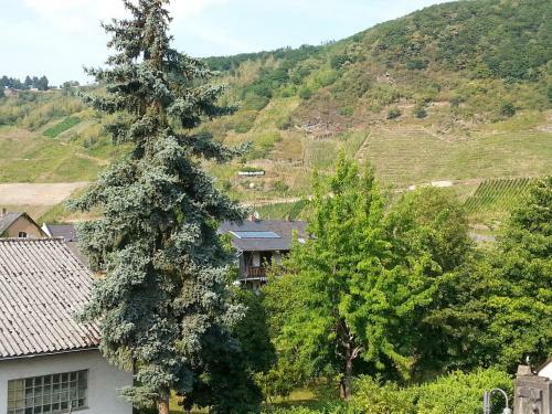 Elegant Apartment In Wolf Mosel With Balcony